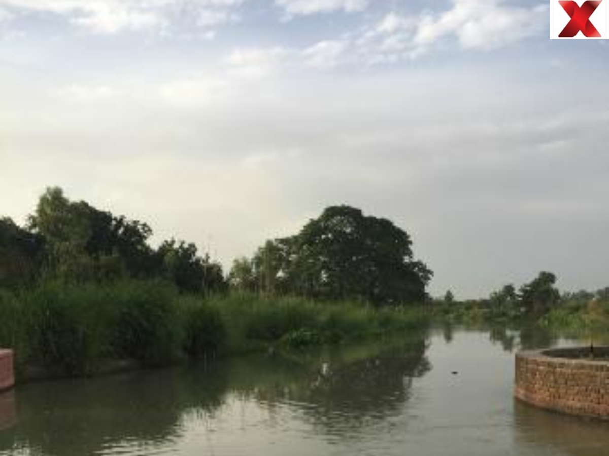 16-Year-Old Girl Lured With Delhi Job Offer, Gang-Raped And Thrown Into Canal In Uttar Pradesh; Survives By Clinging To Tree Branch